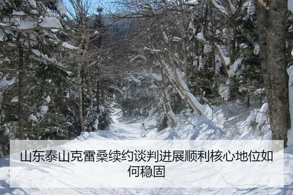 shan-dong-tai-shan-ke-lei-sang-xu-yue-tan-pan-jin-zhan-shun-li-he-xin-di-wei-ru-he-wen-gu-2-891.jpg